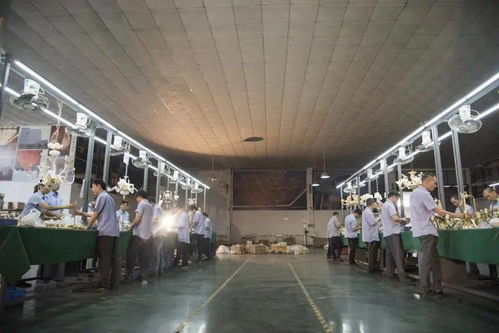 光影新境，幸福為燈 艾摩燈3.0極簡輕奢展廳與大師設(shè)計的共鳴